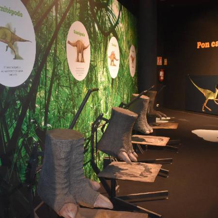 Búsqueda de dinosaurios en 20 años de Ciencia