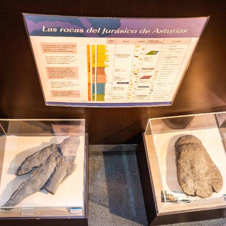 Curso de formación Patrimonio geológico del Jurásico de Asturias